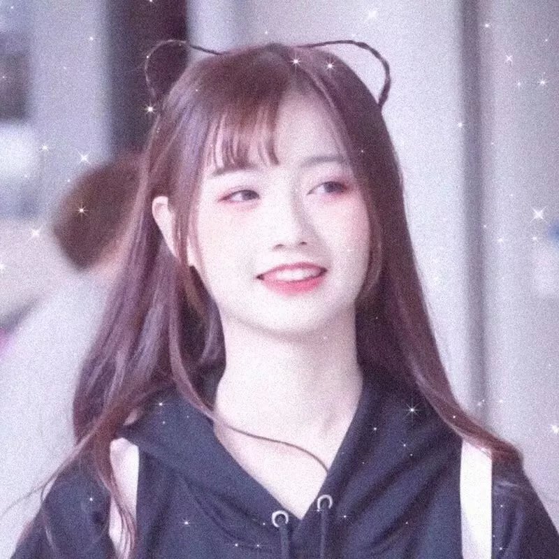 来自法国的玫瑰