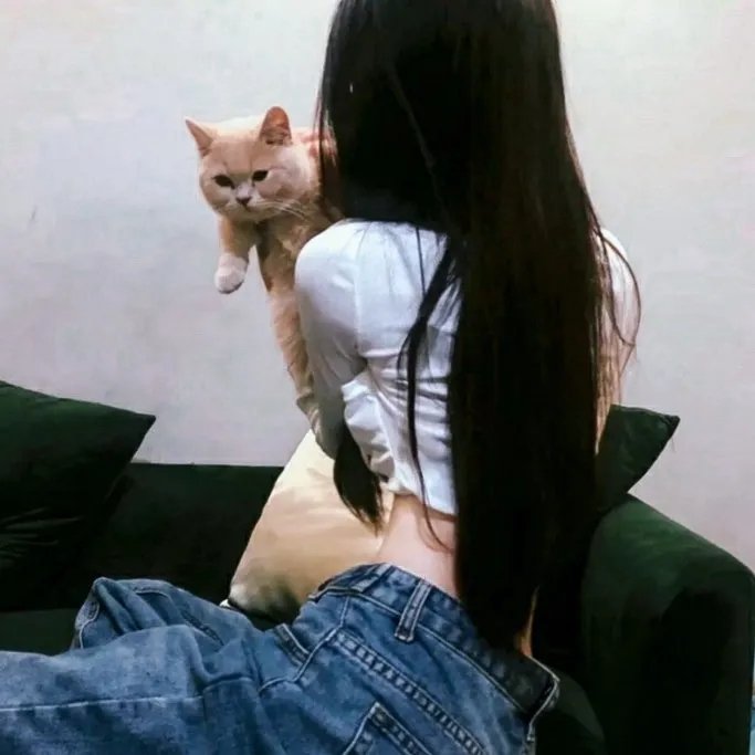 三只小猪